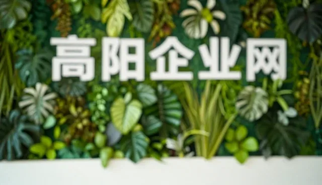 创业支持体系如何重塑行业动态发展趋势